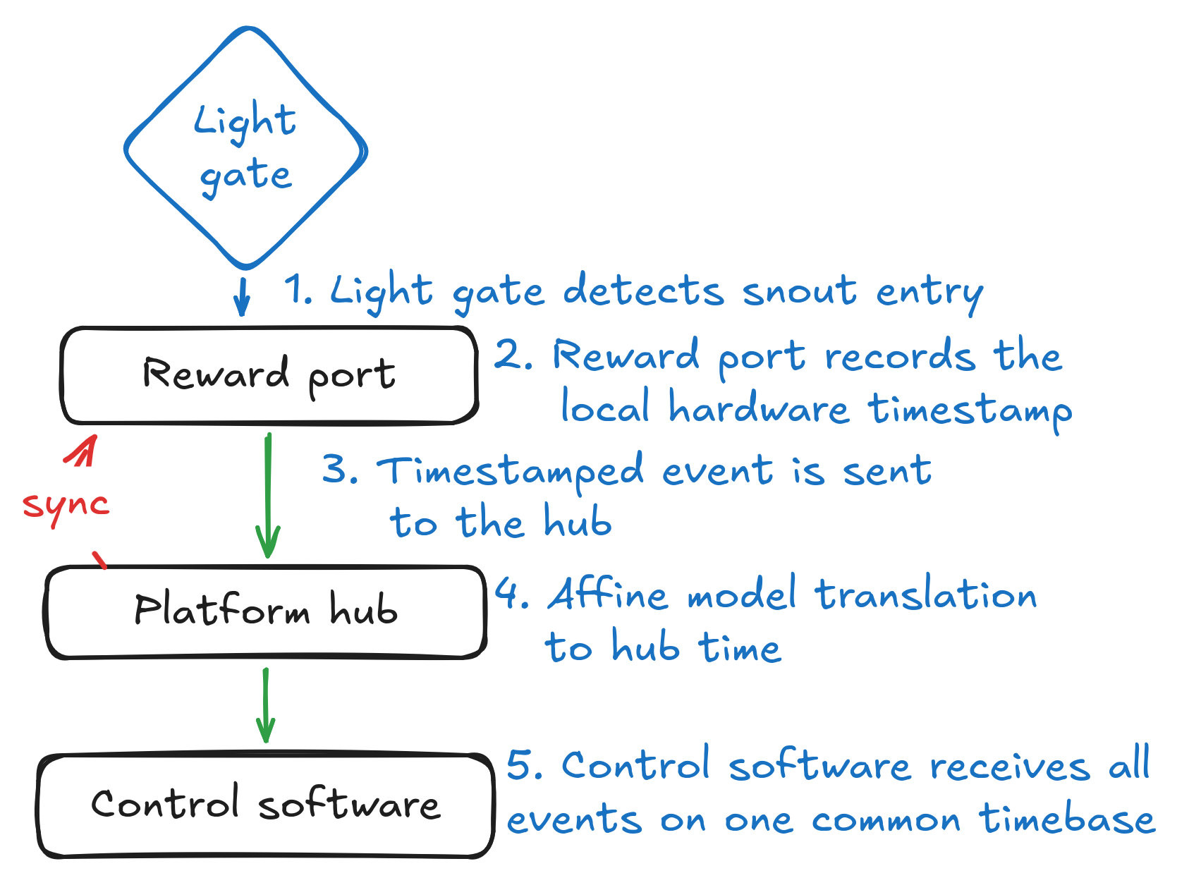 Diagram showing a reward-port event timestamped locally, transported through Korora and translated onto a shared timeline.